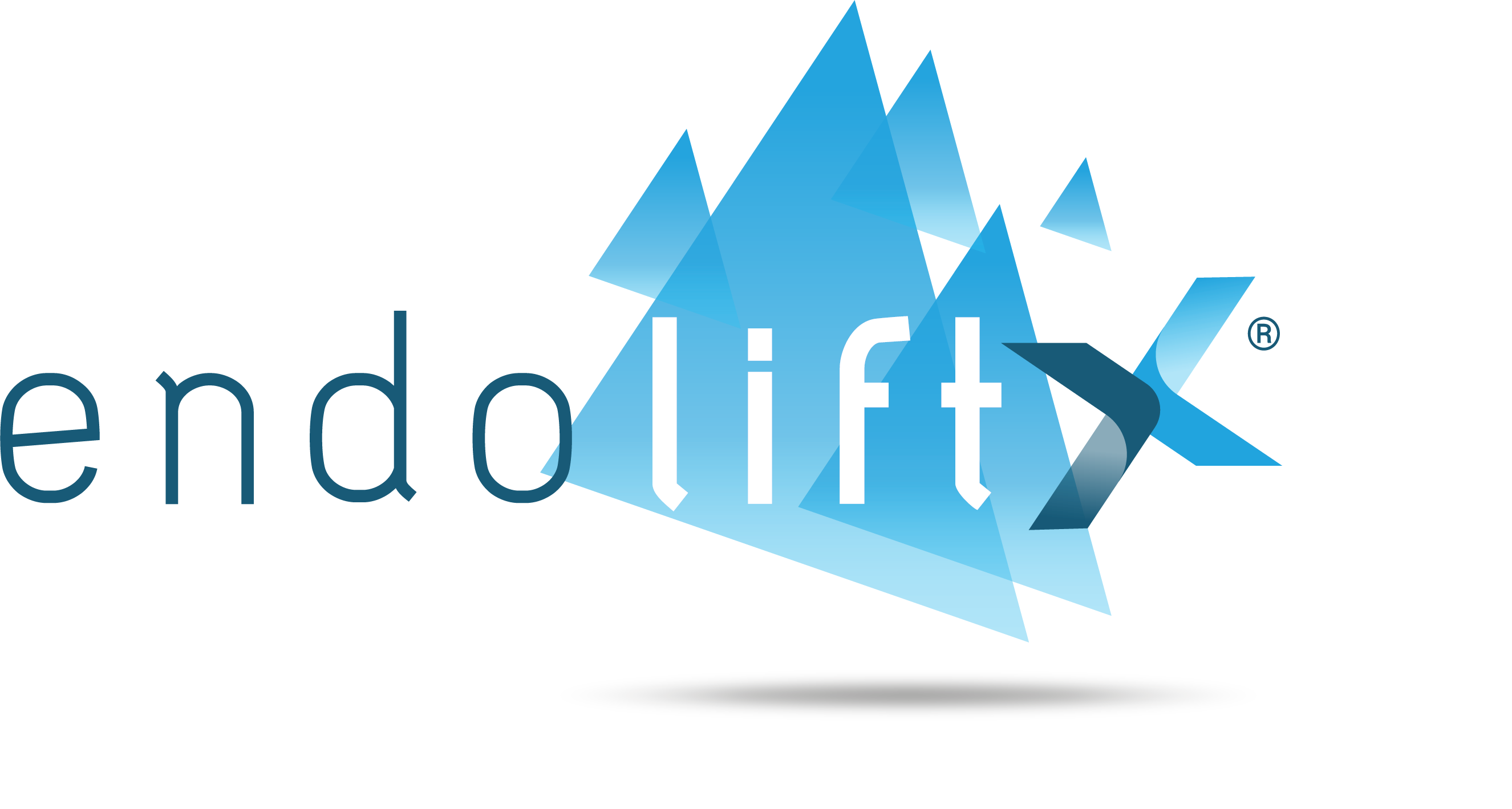 Logo de Endolift